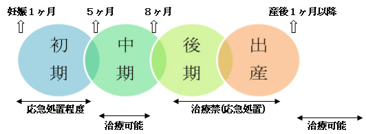 妊娠中の治療のできる時期
