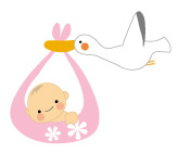 赤ちゃんの歯